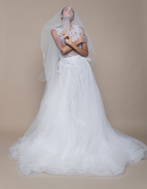 Anastasia Dress and veil Rental