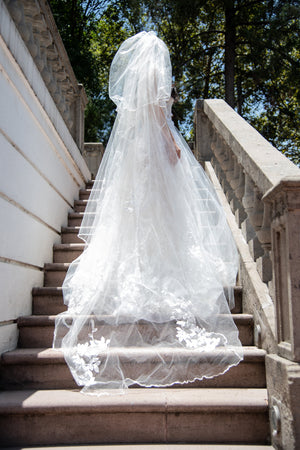 Silver Mirror Stillness dress and veil Rental